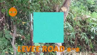 LEVEE ROAD *-* @BandcampOddities