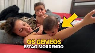 Os Gemeos estao Mordendo isso significa que...