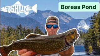 Fishing secluded Northeast pond for WILD Brook trout ft. Boreas Ponds NY #adventure #outdoors