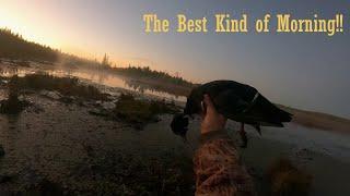 Beaver Pond Duck Hunting (Wood Duck, Geese, BONUS Ruffed Grouse)